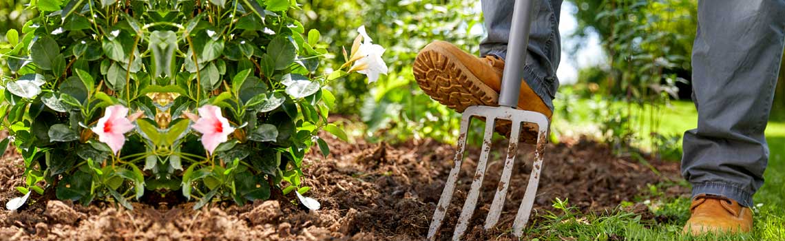 General Garden Maintenance